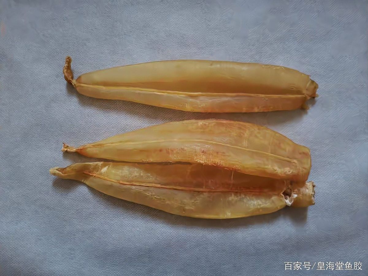 金龍魚膠的產地在哪里？（金龍魚膠是什么）