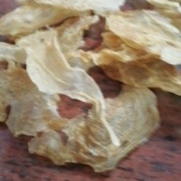 金龍魚膠的產地在哪里？（金龍魚膠是什么）