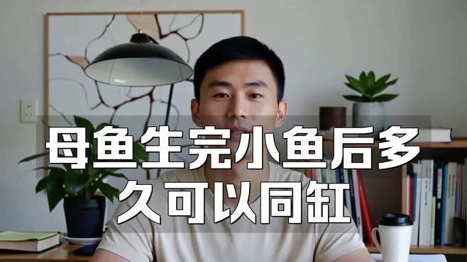 曼龍魚繁殖后親魚需要隔離嗎（世界——曼龍魚繁殖后親魚需要隔離措施）