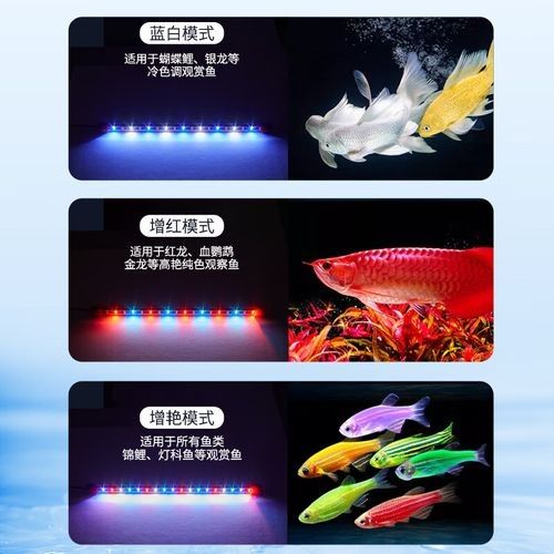 有哪些品牌的龍魚潛水燈推薦?(龍魚潛水燈品牌及熱門型號評價和價格區(qū)間分類整理) 龍魚百科 第6張 有哪些品牌的龍魚潛水燈推薦?(龍魚潛水燈品牌及熱門型號評價和價格區(qū)間分類整理) 有哪些品牌的龍魚潛水燈推薦?(龍魚潛水燈品牌及熱門型號評價和價格區(qū)間分類整理) 龍魚百科 第6張