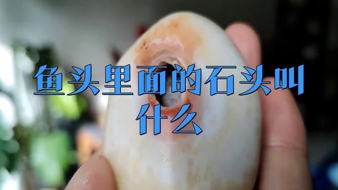 金龍魚耳石年輪的形成原理是什么（金龍魚耳石年輪形成的原理）