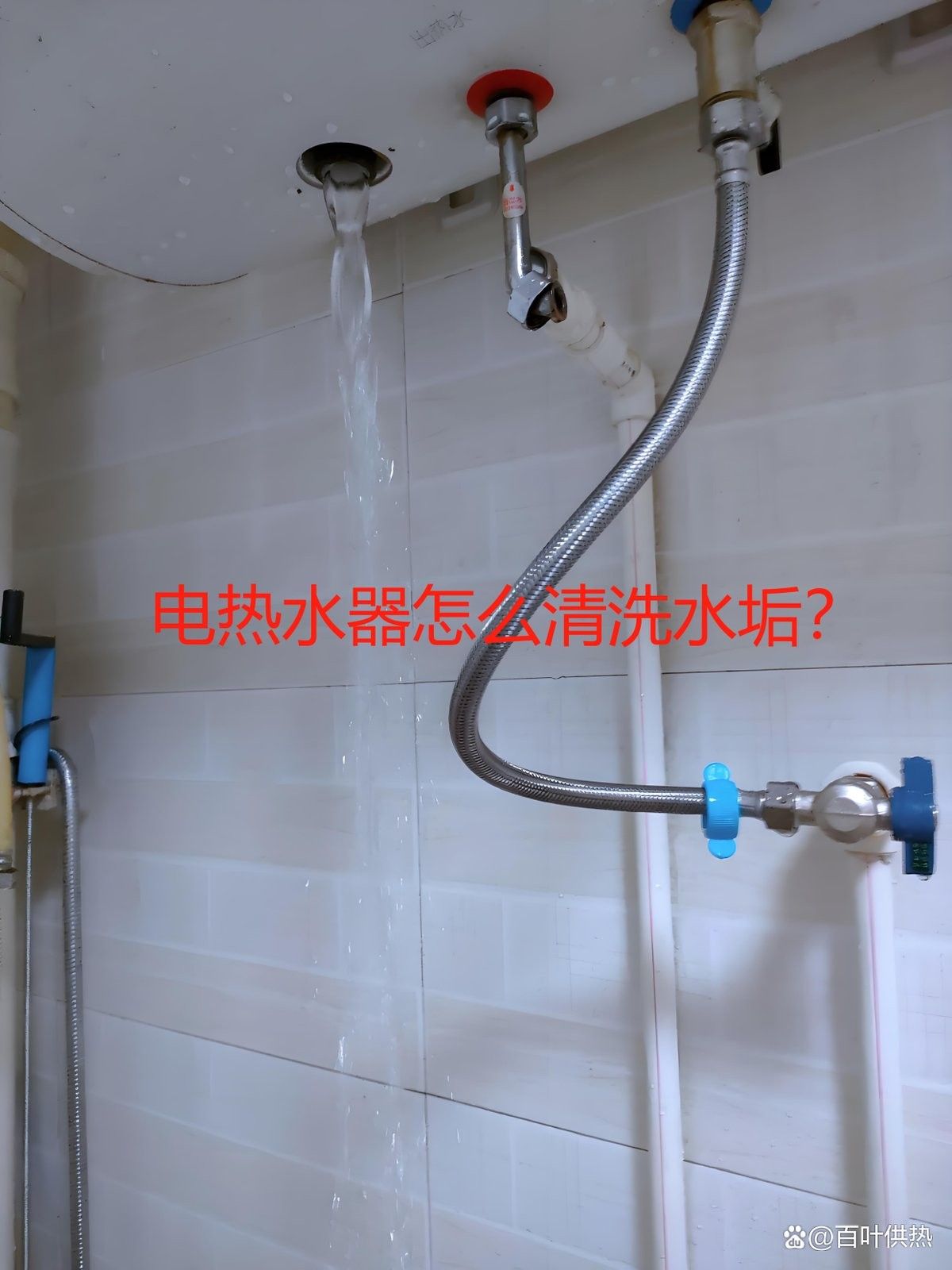 電熱水器加熱棒如何清潔？（】太平洋科技電熱水器加熱棒怎么清洗水垢） 電熱水器加熱棒如何清潔？（】太平洋科技電熱水器加熱棒怎么清洗水垢） 龍魚百科 第4張