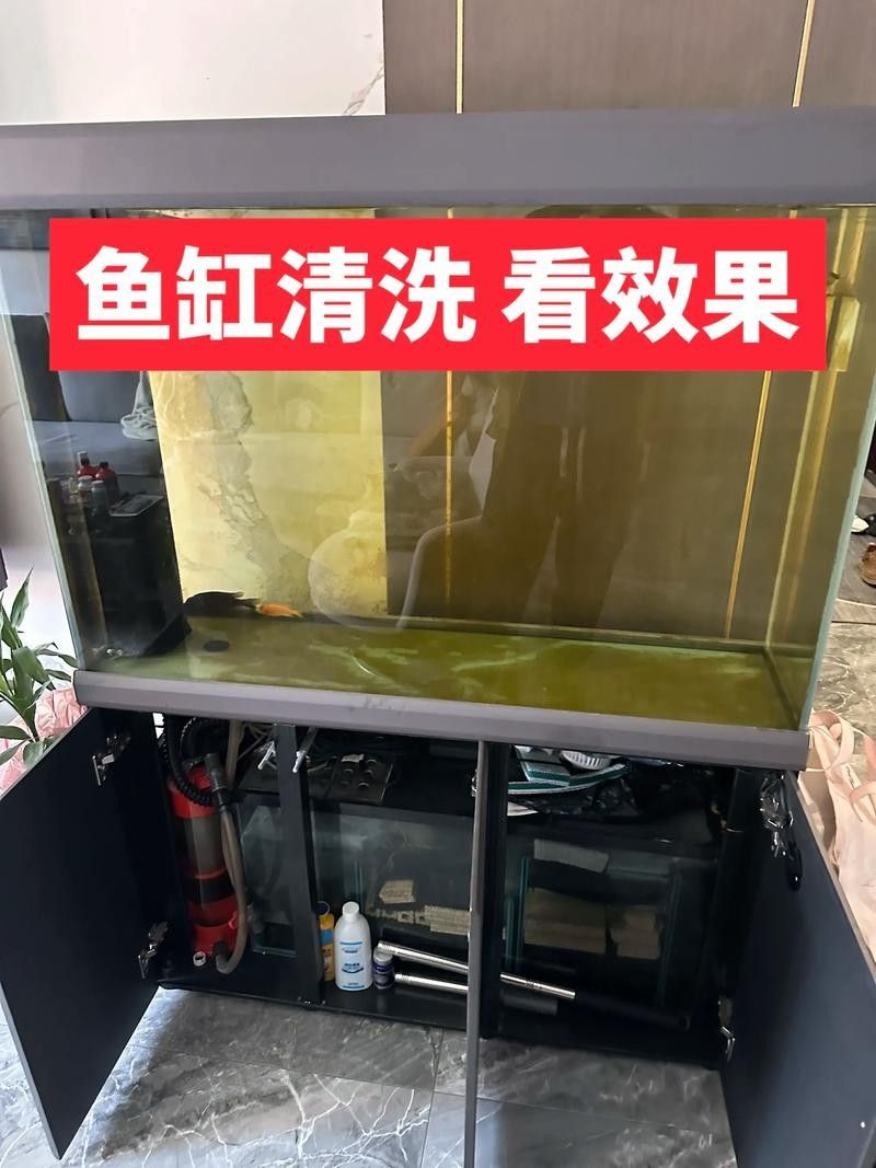 金龍魚魚缸背景圖如何清洗（金龍魚魚缸背景圖多久清洗一次？）