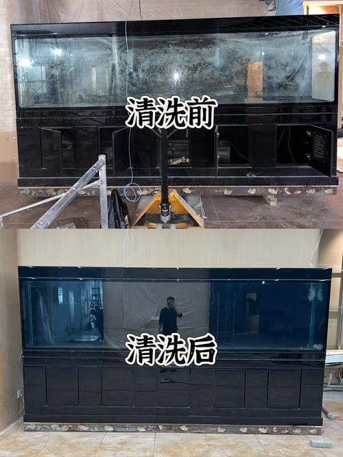 金龍魚魚缸背景圖如何清洗（金龍魚魚缸背景圖多久清洗一次？）
