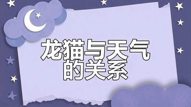 龍貓散養需要哪些注意事項（養龍貓的注意事項有哪些）