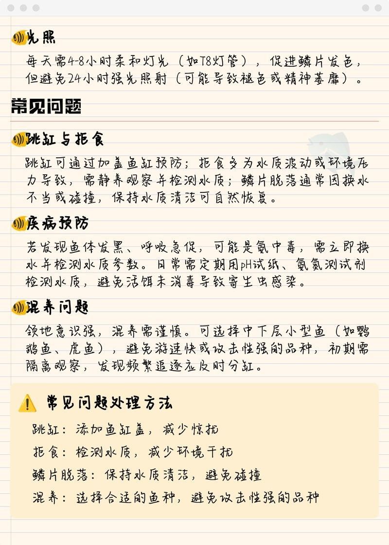 給我?guī)讖埥瘕堲~高清圖片（金龍魚高清圖片展示了它們的自然狀態(tài)和各種養(yǎng)殖環(huán)境）