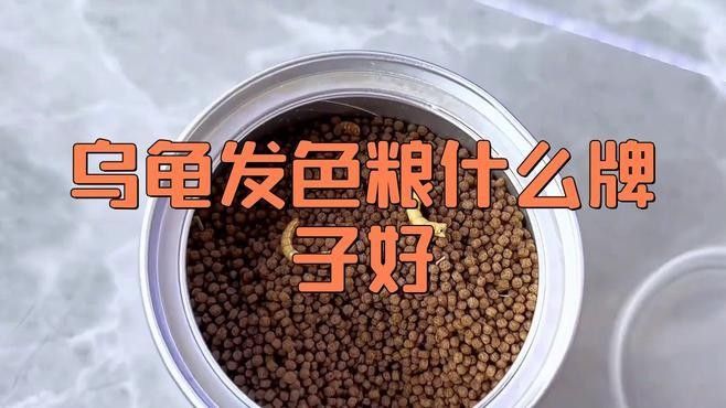 發(fā)色飼料有哪些品牌推薦？（10大發(fā)色飼料品牌推薦德牧飼料品牌推薦德牧飼料）
