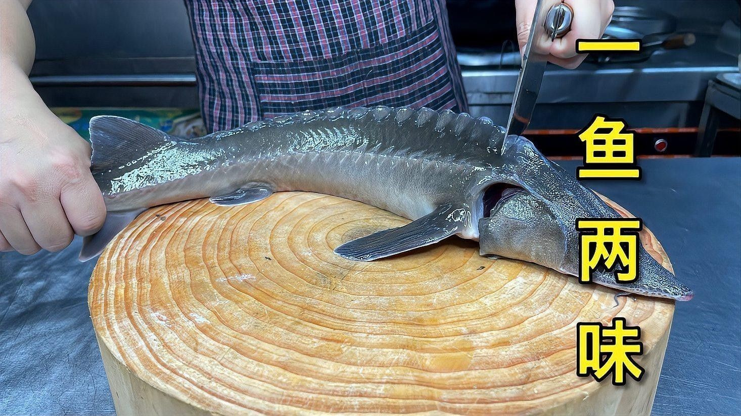 給我推薦一些龍魚食譜（為龍魚準備的食譜建議） 給我推薦一些龍魚食譜（為龍魚準備的食譜建議） 龍魚百科 第1張