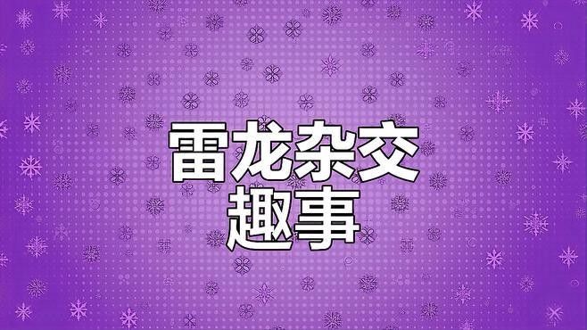 彩虹雷龍魚可以混養(yǎng)嗎？（彩虹雷龍魚與其他魚類混養(yǎng)時(shí)有幾個(gè)關(guān)鍵因素要考慮）