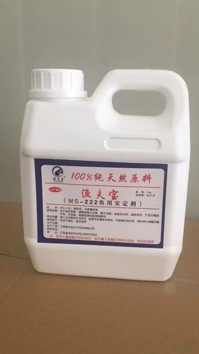 龍魚麻醉劑有哪些品牌推薦（魚麻安全是用于給龍魚進行手術或退貨、免費上門退換）