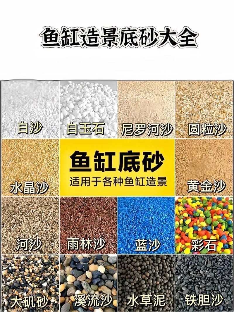 龍魚缸底砂選擇什么材質好？（魚缸底砂的選擇對于水質管理和美觀度至關重要） 龍魚缸底砂選擇什么材質好？（魚缸底砂的選擇對于水質管理和美觀度至關重要） 龍魚百科 第3張