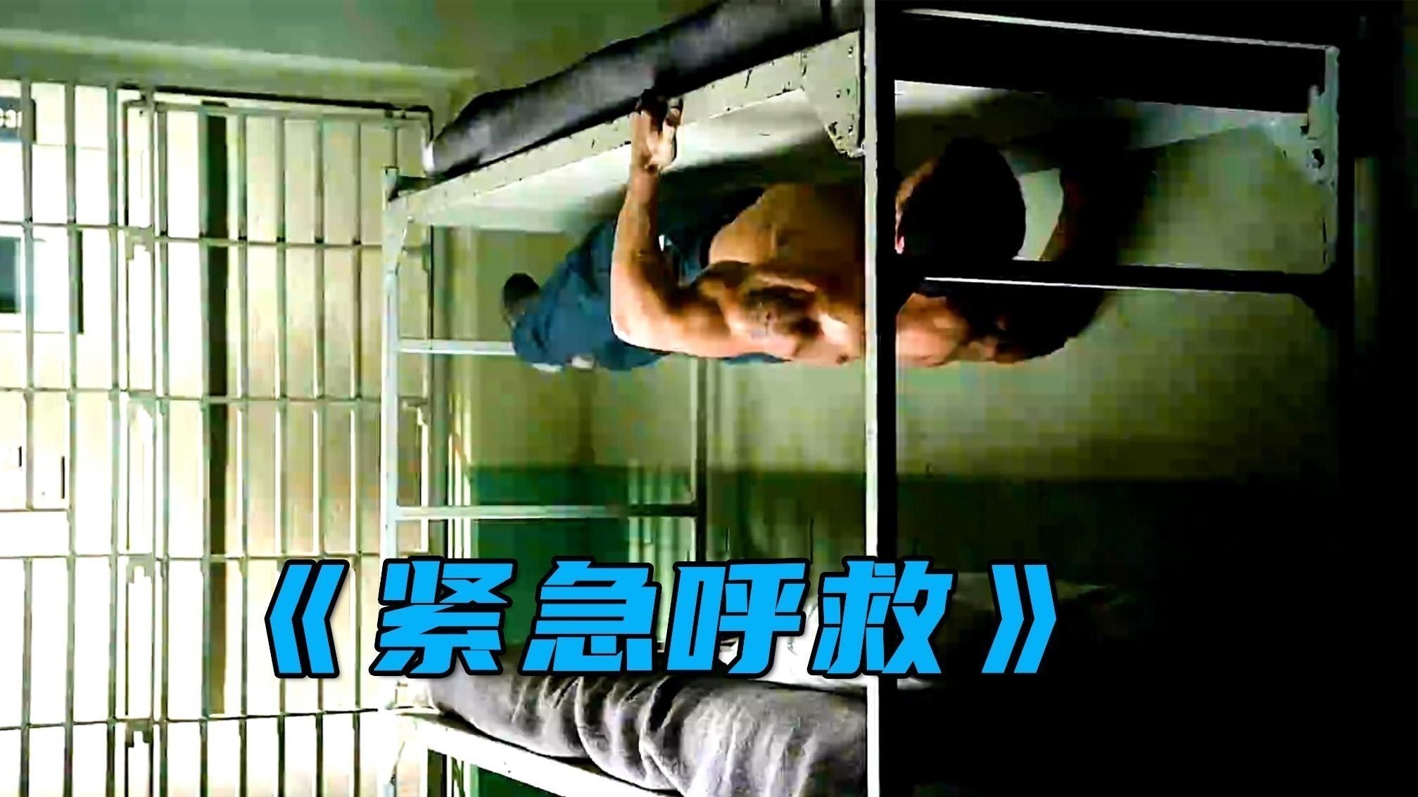 如何為龍貓設置攀爬設施？（為龍貓設置攀爬設施的最佳材質是什么龍貓攀爬設施的最佳材質是什么） 如何為龍貓設置攀爬設施？（為龍貓設置攀爬設施的最佳材質是什么龍貓攀爬設施的最佳材質是什么） 龍魚百科 第1張
