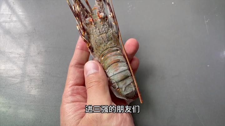 青龍魚(yú)的市場(chǎng)價(jià)格是多少？（青龍魚(yú)市場(chǎng)價(jià)格因規(guī)格、品相和地區(qū)差異有所不同）
