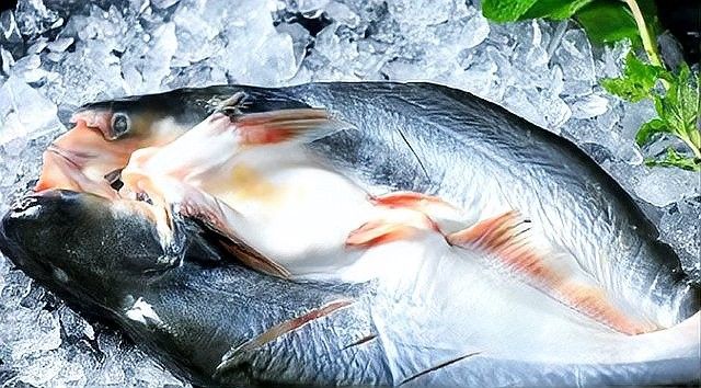 如何區分巴沙魚片和龍利魚片？（如何區分龍利魚和巴沙魚） 如何區分巴沙魚片和龍利魚片？（如何區分龍利魚和巴沙魚） 龍魚百科 第13張