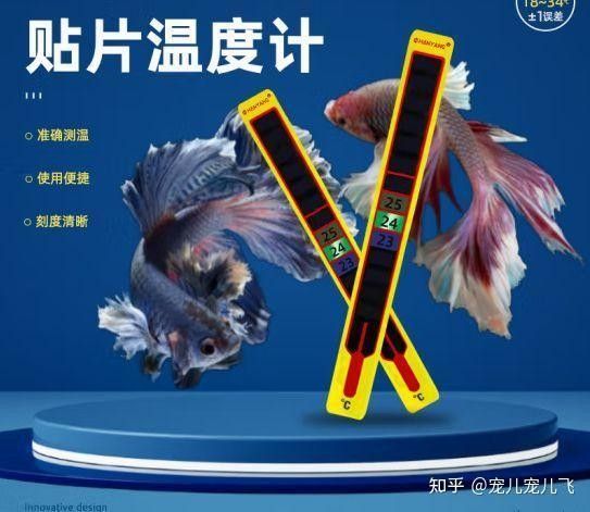 博世龍魚缸水溫表校準(zhǔn)步驟（博世龍魚缸水溫表怎么校準(zhǔn)）