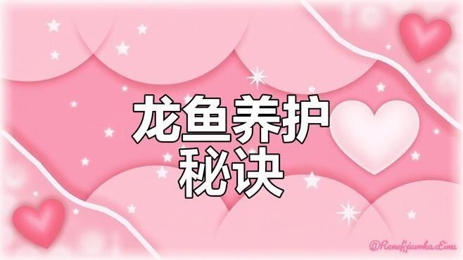 龍魚缸多久徹底清理一次（關于魚缸的清潔周期的一些建議）