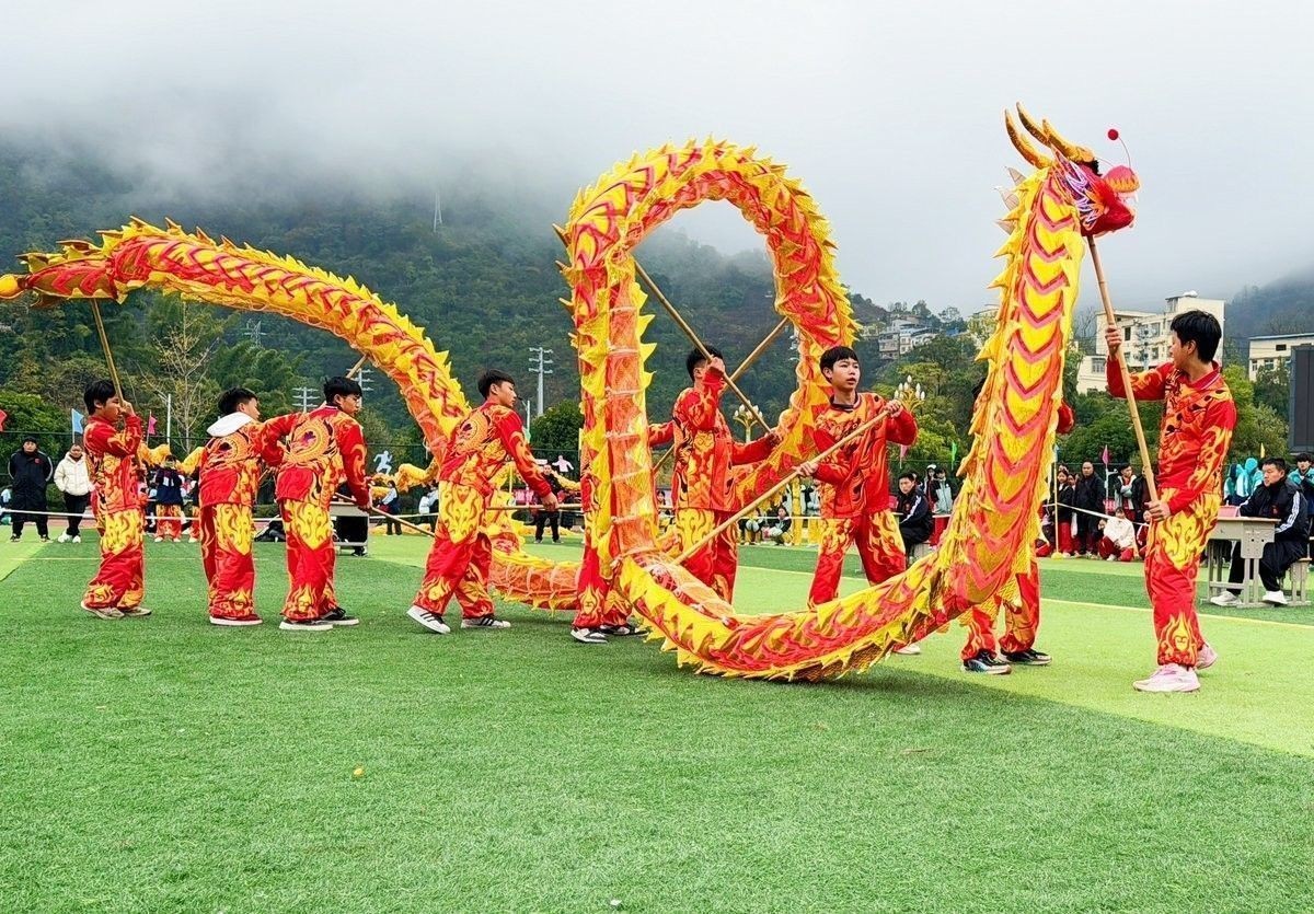 一夜魚(yú)龍舞在校園中如何傳承？（一夜魚(yú)龍舞在校園中傳承有哪些成功案例）