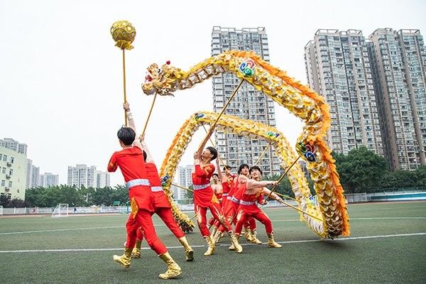 一夜魚(yú)龍舞在校園中如何傳承？（一夜魚(yú)龍舞在校園中傳承有哪些成功案例）