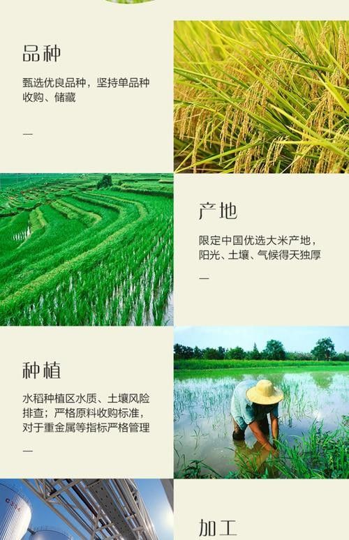 如何判斷龍魚鰭爛了是否嚴重，如何判斷龍魚鰭爛是否嚴重