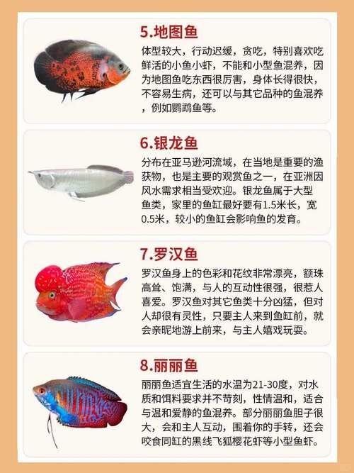大金萬龍魚飼養注意事項(大金萬龍魚飼養的十個常見問題與解決方法與解決方法) 龍魚百科 第13張 大金萬龍魚飼養注意事項(大金萬龍魚飼養的十個常見問題與解決方法與解決方法) 大金萬龍魚飼養注意事項(大金萬龍魚飼養的十個常見問題與解決方法與解決方法) 龍魚百科 第13張