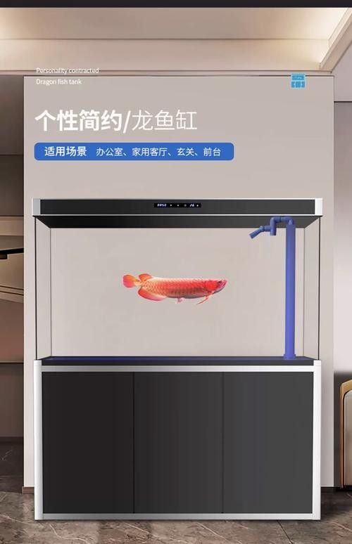 如何判斷一個龍魚缸的性價比（如何判斷龍魚缸的性價比？）