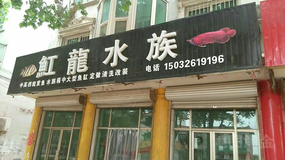 高邑哪個水族館龍魚好？祥龍魚場龍魚（廣州龍魚祥龍魚場紅龍怎么樣多彩生活小貼士聽） 高邑哪個水族館龍魚好？祥龍魚場龍魚（廣州龍魚祥龍魚場紅龍怎么樣多彩生活小貼士聽） 龍魚百科 第2張