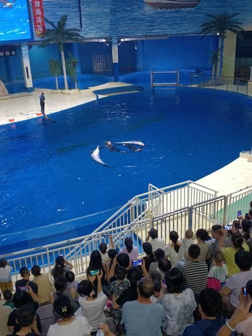 壽光市百年龍魚水族館的口碑如何（壽光市百年龍魚水族館）
