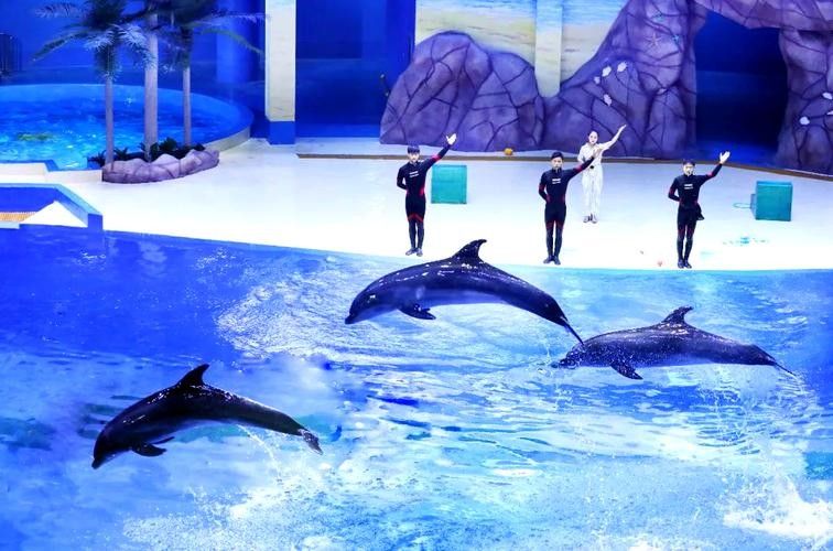 壽光市百年龍魚水族館的口碑如何（壽光市百年龍魚水族館）