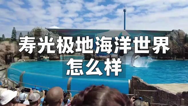 壽光市百年龍魚水族館的口碑如何（壽光市百年龍魚水族館）