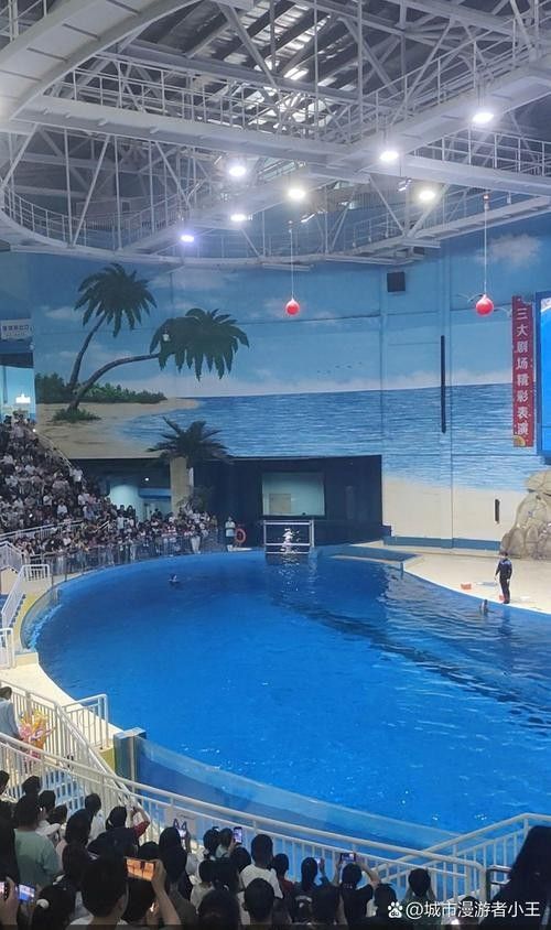 壽光市百年龍魚水族館的口碑如何（壽光市百年龍魚水族館）