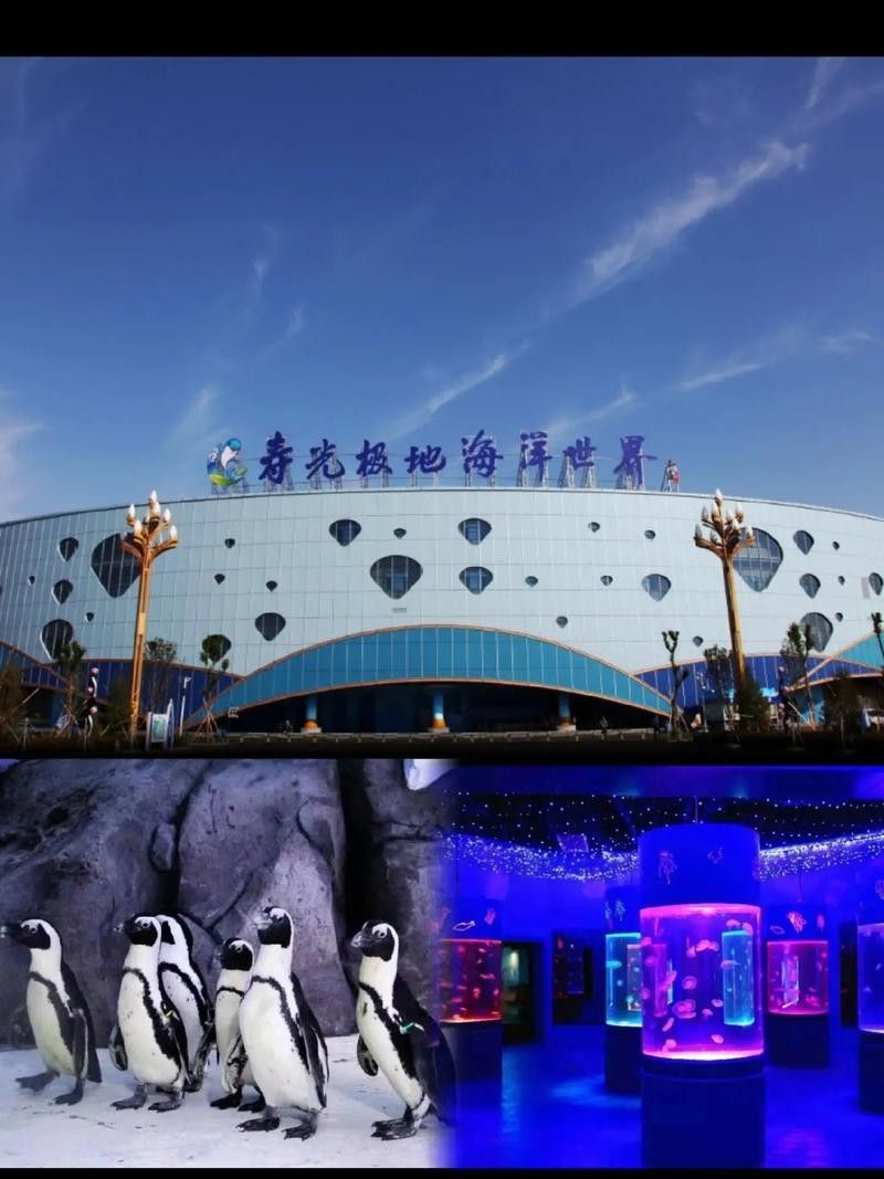 壽光市百年龍魚水族館的口碑如何（壽光市百年龍魚水族館）