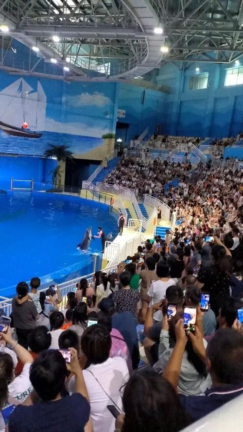 壽光市百年龍魚水族館的口碑如何（壽光市百年龍魚水族館）
