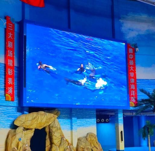 壽光市百年龍魚水族館的口碑如何（壽光市百年龍魚水族館）