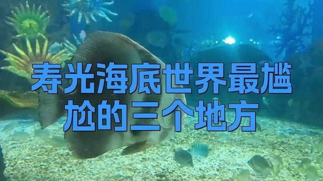 壽光市百年龍魚水族館的口碑如何（壽光市百年龍魚水族館）