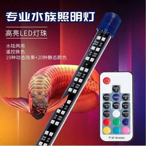 金龍魚專用燈一般多少錢（金龍魚專用燈的價格）