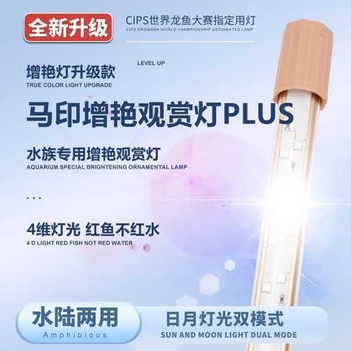 金龍魚專用燈一般多少錢（金龍魚專用燈的價格）