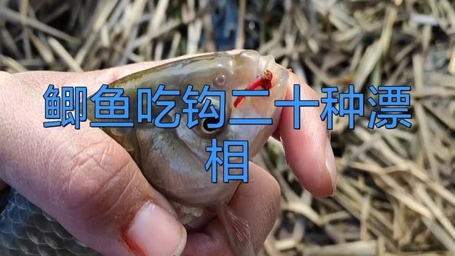 如何判斷魚兒是否咬鉤？（如何判斷魚兒是否已經(jīng)上鉤？）