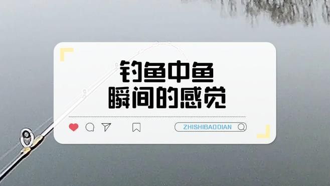 如何判斷魚兒是否咬鉤？（如何判斷魚兒是否已經(jīng)上鉤？）