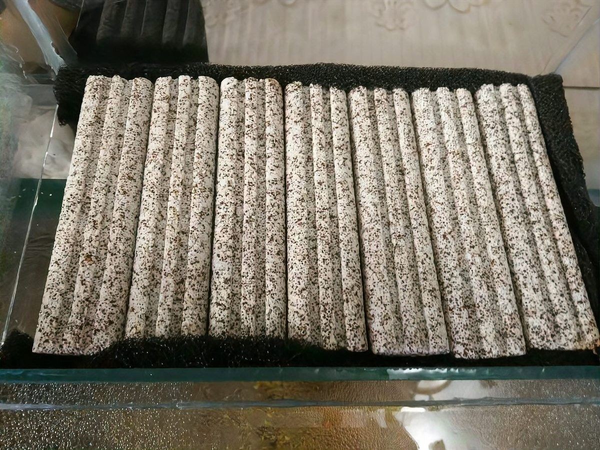 龍魚缸多久洗一次濾材（魚缸濾材多久清洗一次）