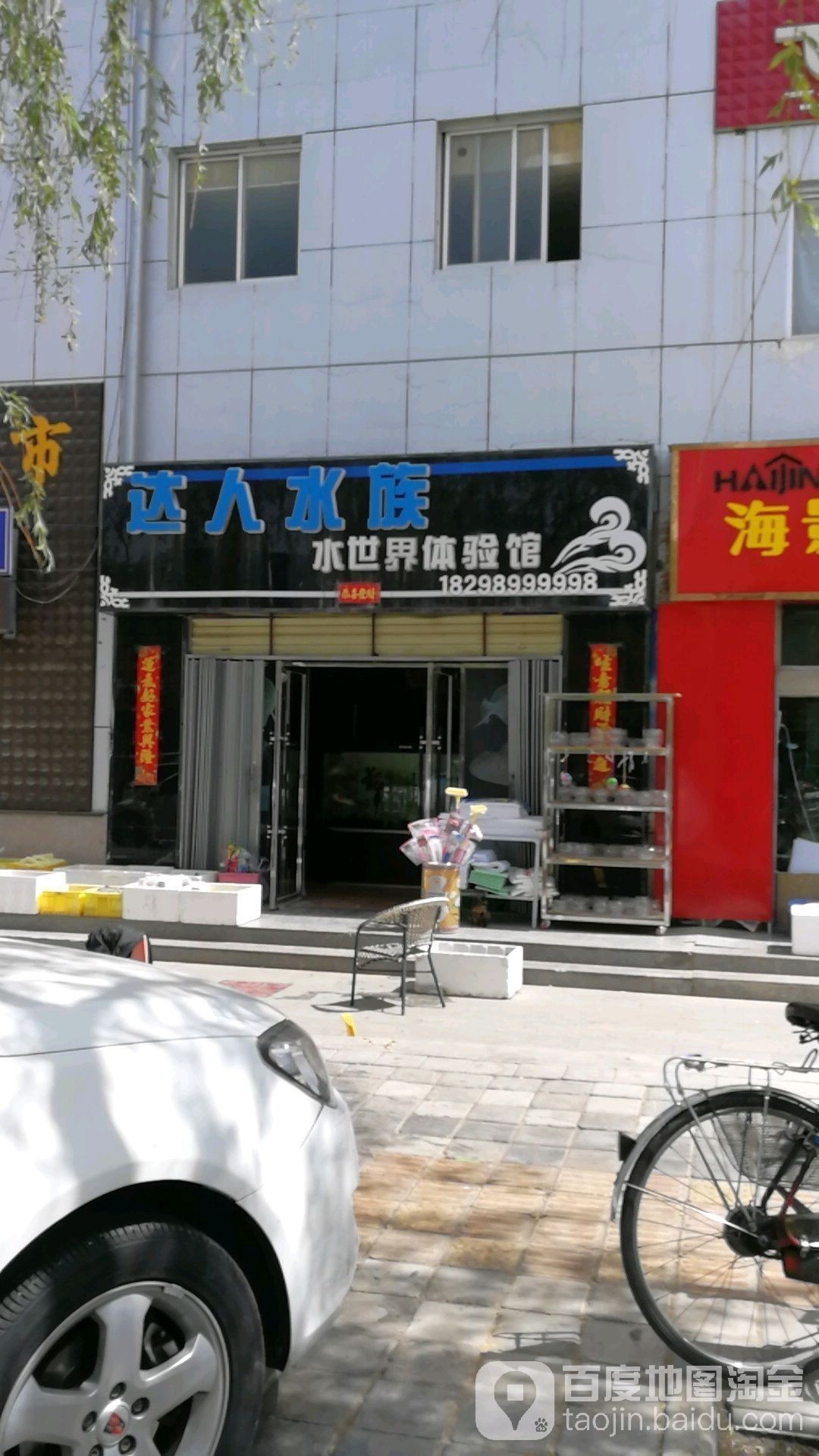 嘉峪關哪個水族館龍魚好？祥龍魚場龍魚（嘉峪關哪個水族館龍魚好）