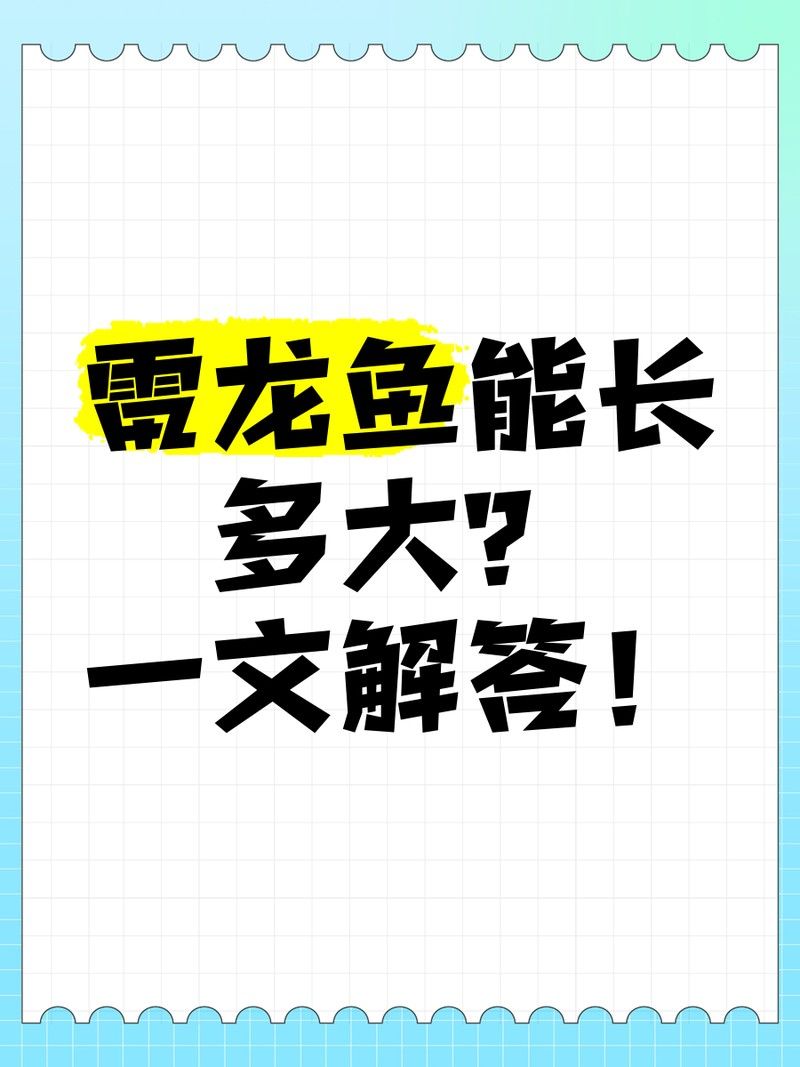 黑摩神雷龍魚能長多大？（雷龍魚能長多大）