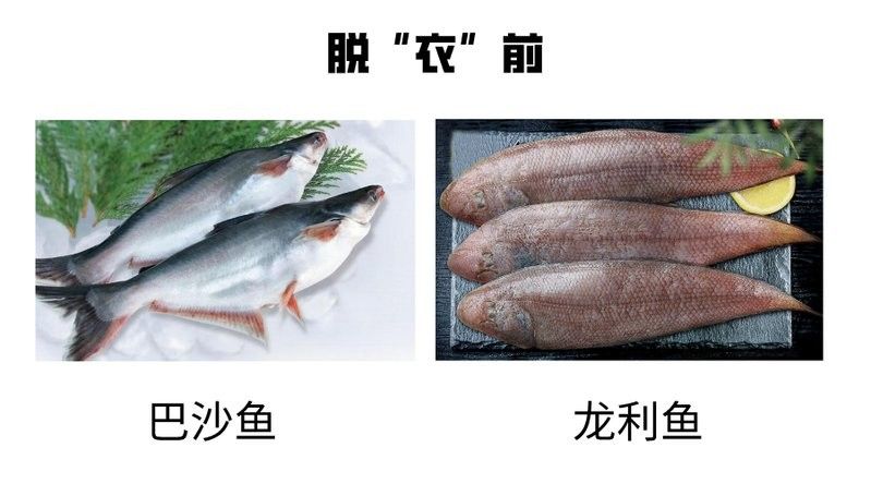 巴沙魚片和龍利魚片哪個(gè)更有營(yíng)養(yǎng)？（巴沙魚和龍利魚哪個(gè)營(yíng)養(yǎng)價(jià)值更高？）