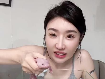 如何拍攝恐龍魚吃食的視頻？（六角恐龍魚吃食的視頻需要一些技巧和設備，你需要找到一只健康的恐龍魚）