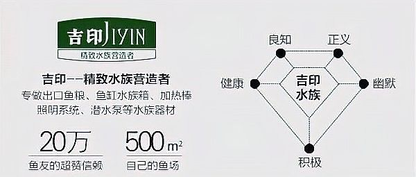 紅寶石魚繁殖期如何護理（紅寶石魚怎么養，紅寶石魚的養殖技巧）