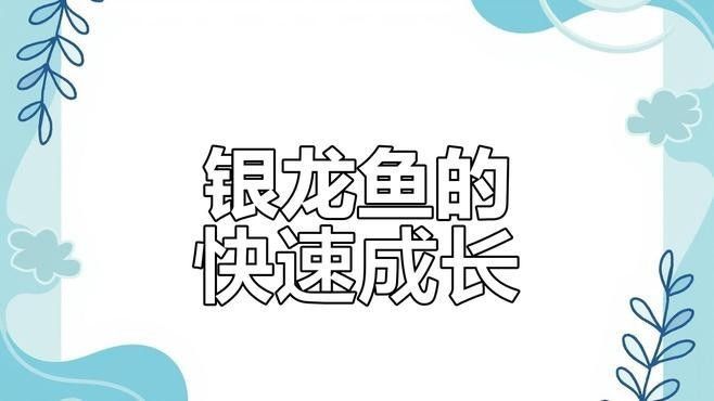 大青龍魚的食物有哪些？（大青龍魚喂養(yǎng)注意事項(xiàng)不同年齡龍魚的喂養(yǎng)注意事項(xiàng)）
