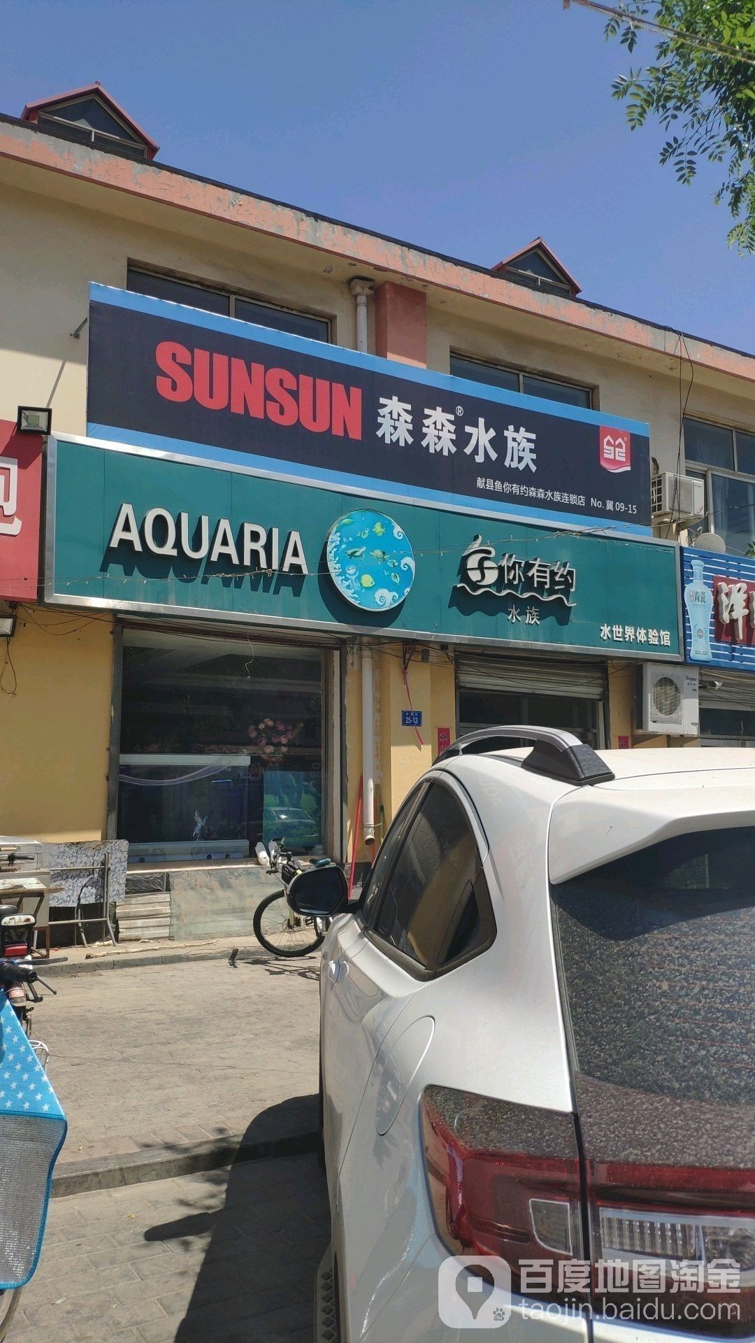 滄州哪個(gè)水族館龍魚好？祥龍魚場(chǎng)龍魚（滄州市祥龍魚場(chǎng)） 滄州哪個(gè)水族館龍魚好？祥龍魚場(chǎng)龍魚（滄州市祥龍魚場(chǎng)） 龍魚百科 第9張