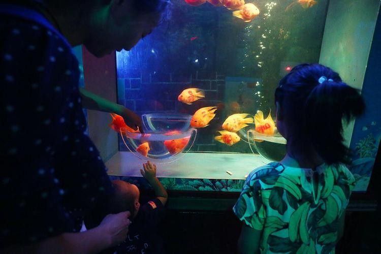 滄州哪個(gè)水族館龍魚好？祥龍魚場(chǎng)龍魚（滄州市祥龍魚場(chǎng)） 滄州哪個(gè)水族館龍魚好？祥龍魚場(chǎng)龍魚（滄州市祥龍魚場(chǎng)） 龍魚百科 第2張