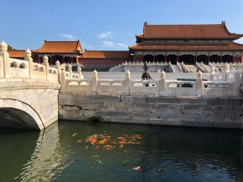 建始哪個水族館龍魚好？祥龍魚場龍魚（建始水族館祥龍魚場龍魚的價格是多少？）