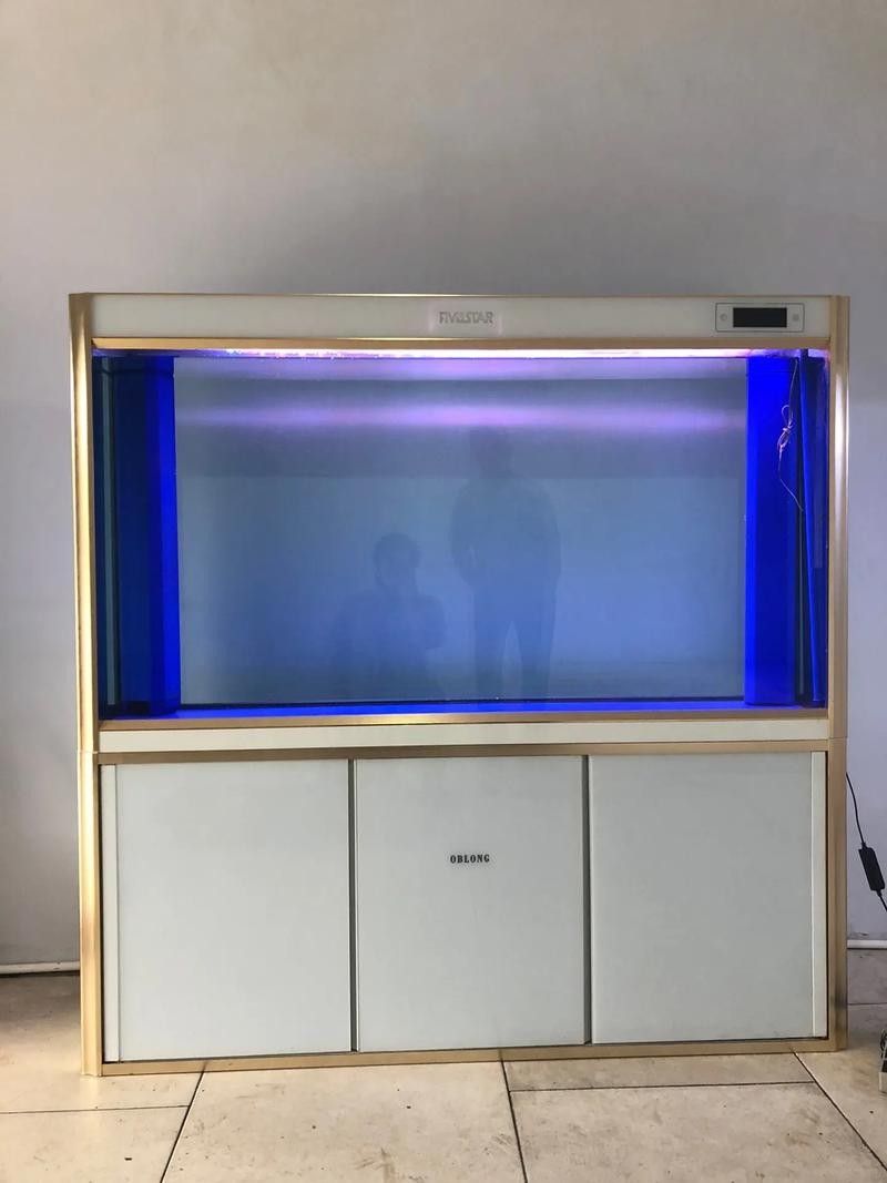 歐鉑龍魚缸有哪些型號可選（歐鉑龍魚缸哪個系列性價比最高歐鉑龍魚缸型號推薦）