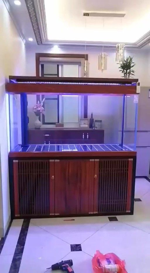 歐鉑龍魚缸有哪些型號可選（歐鉑龍魚缸哪個系列性價比最高歐鉑龍魚缸型號推薦）